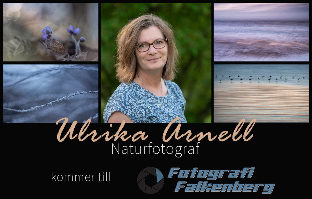 Ulrika Arnell